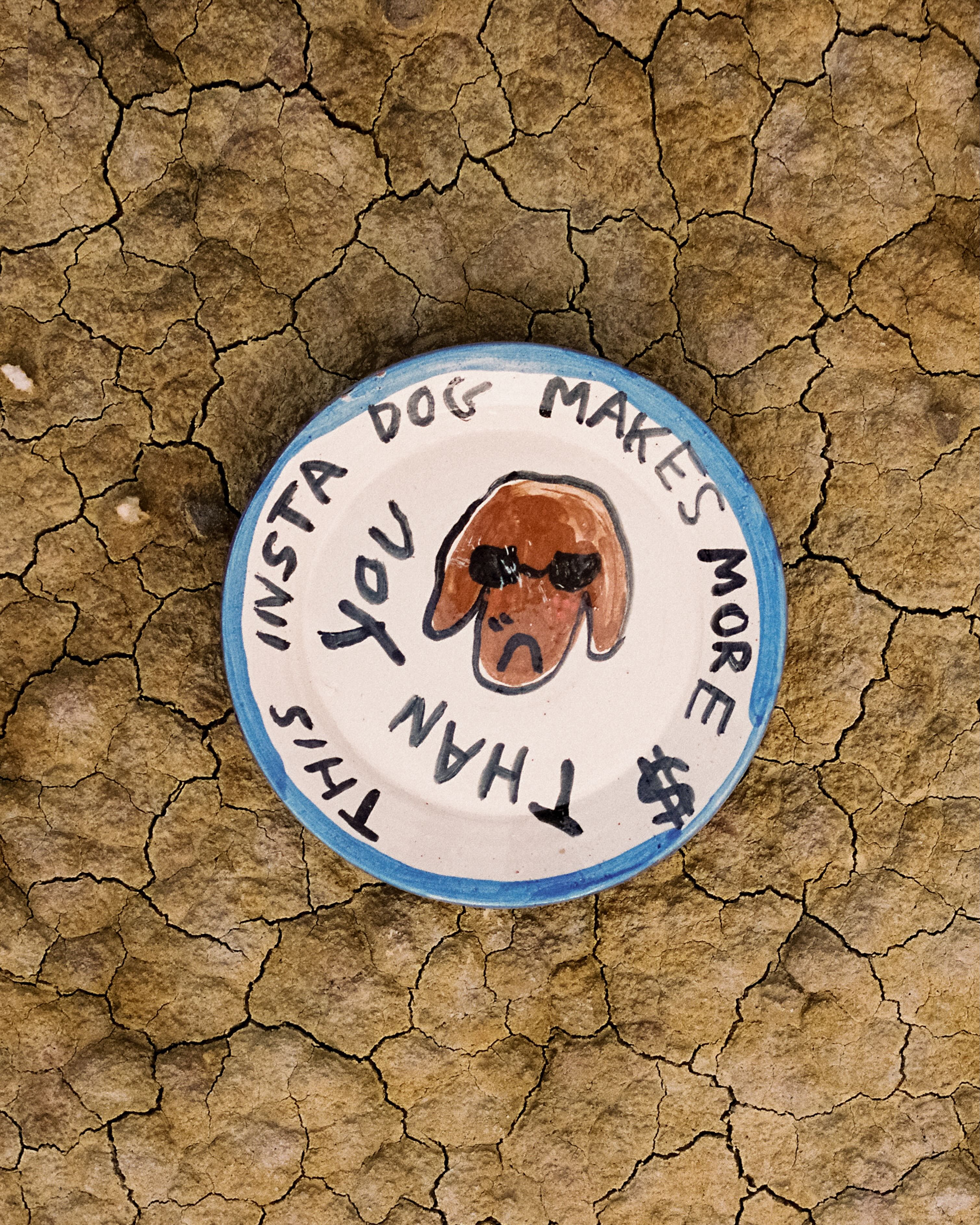 Plato pequeño "This instadog makes more money than you"