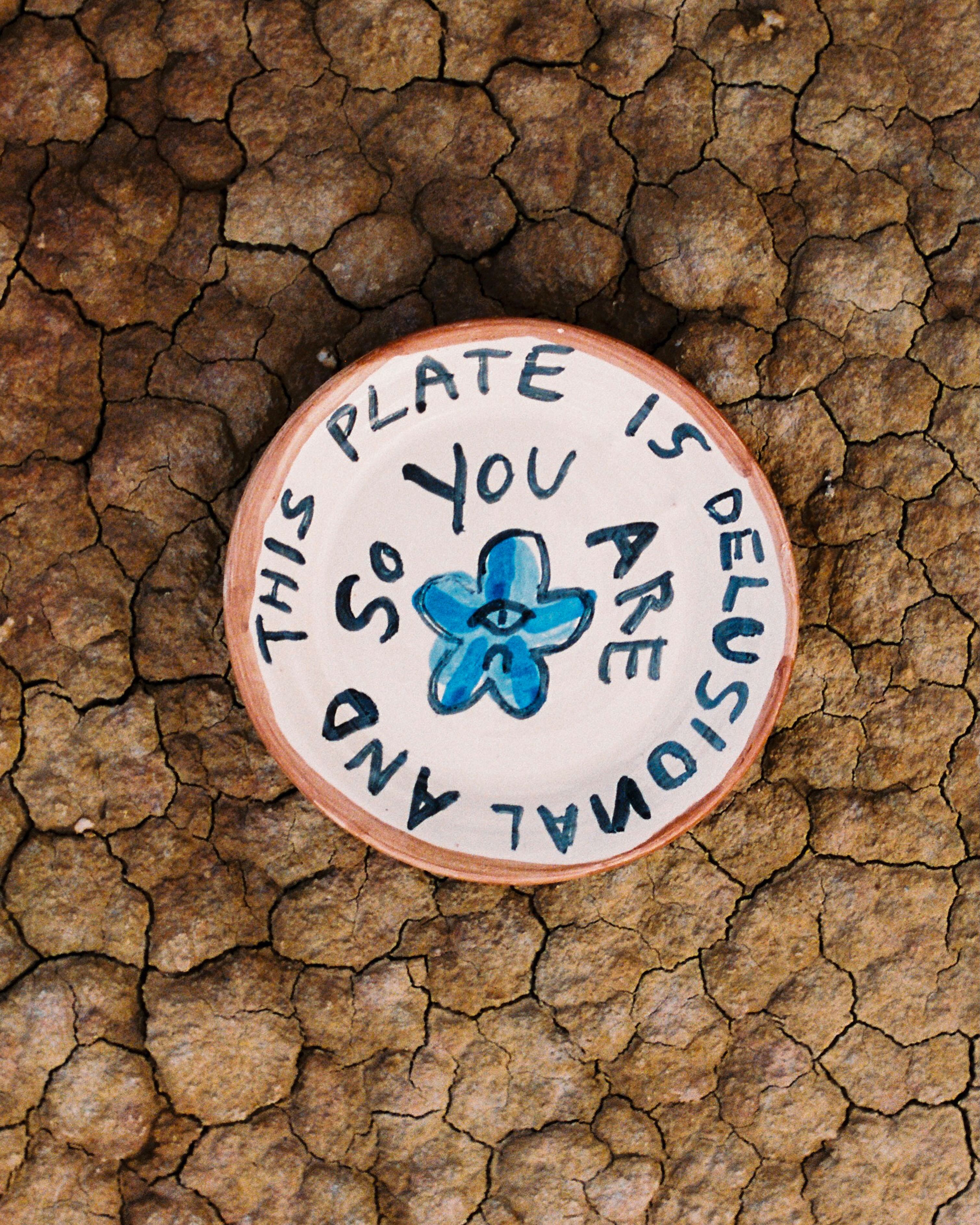 Plato pequeño "This plate is delusional and so are you"