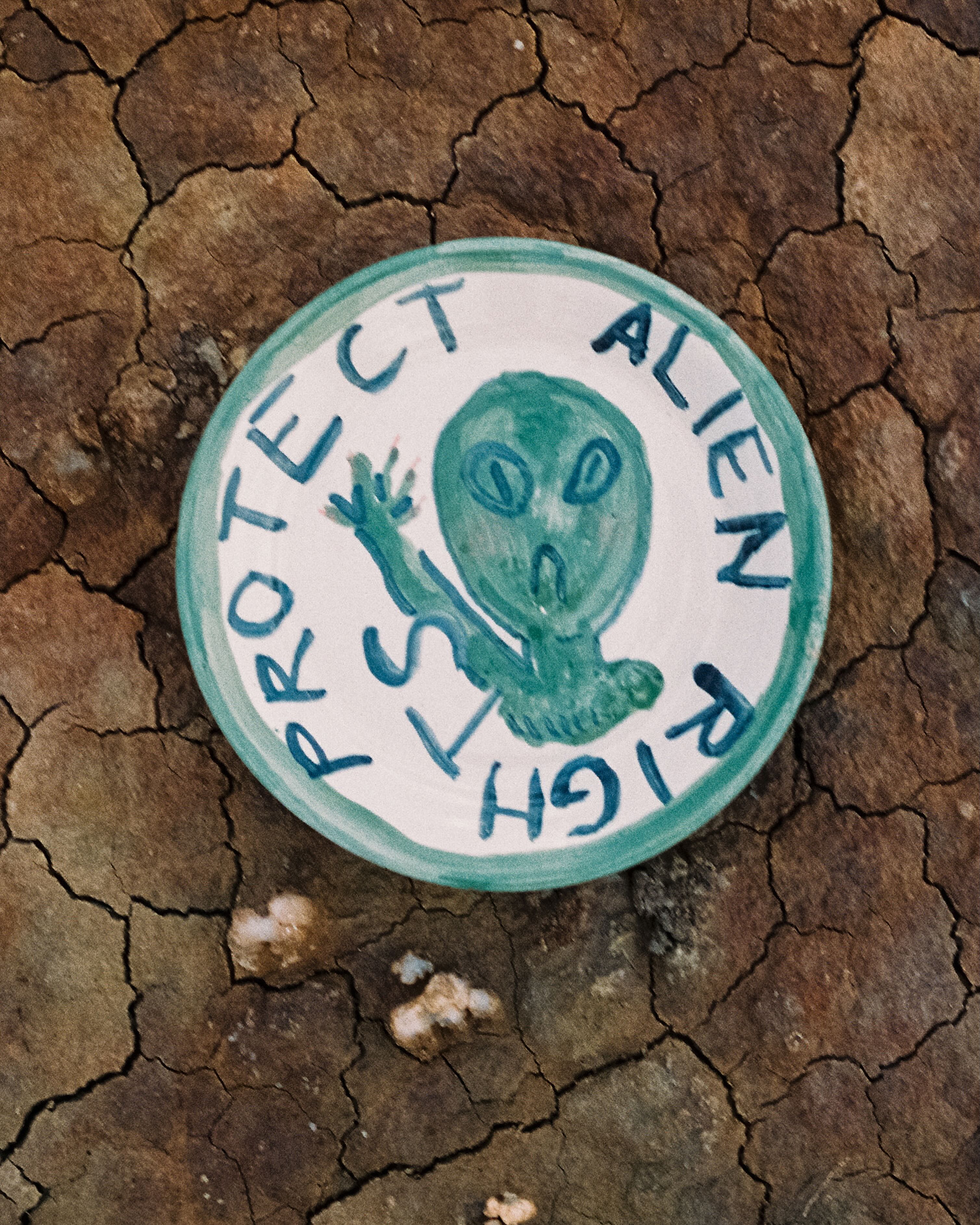 Plato pequeño "Protect alien rights"