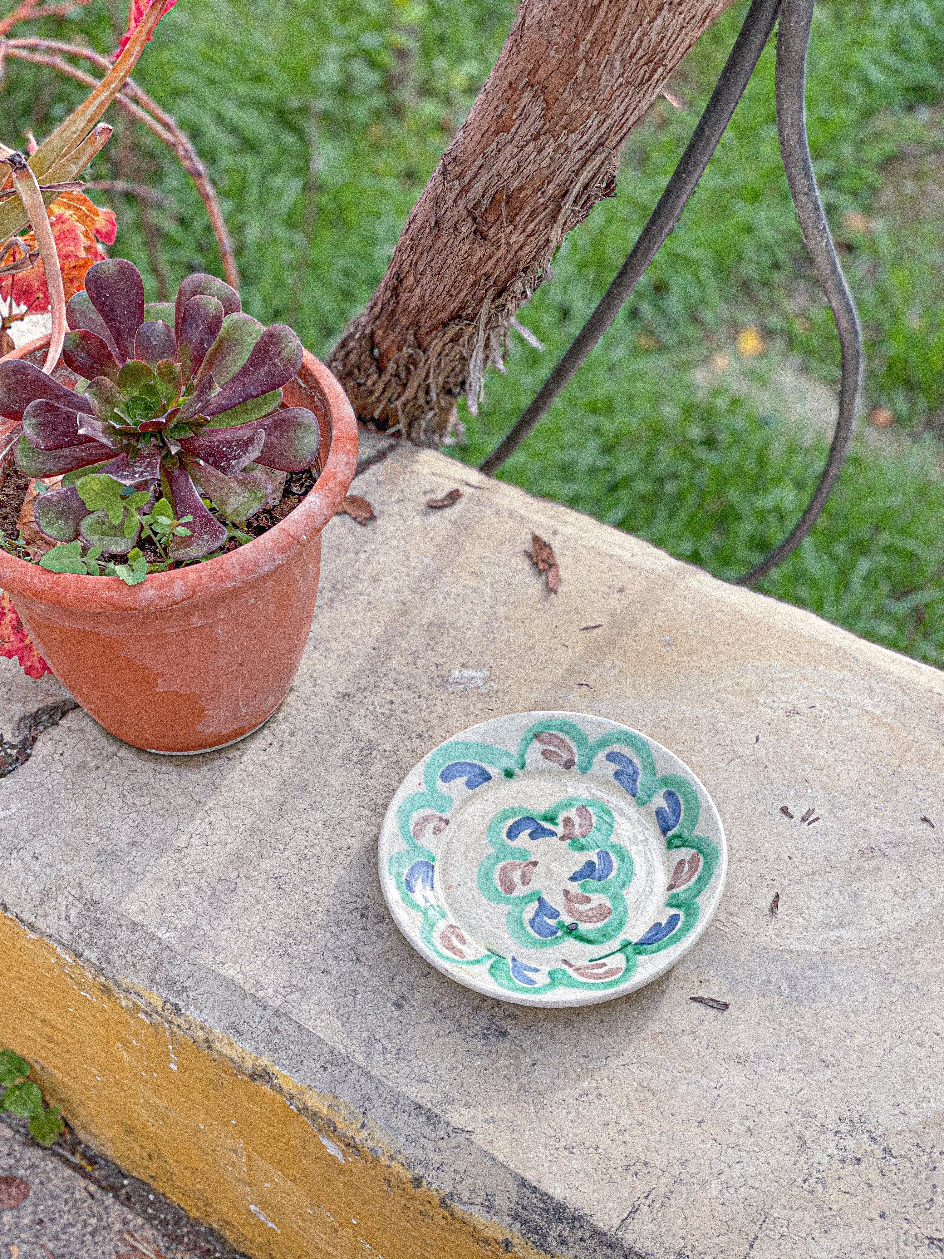 Platillo verde