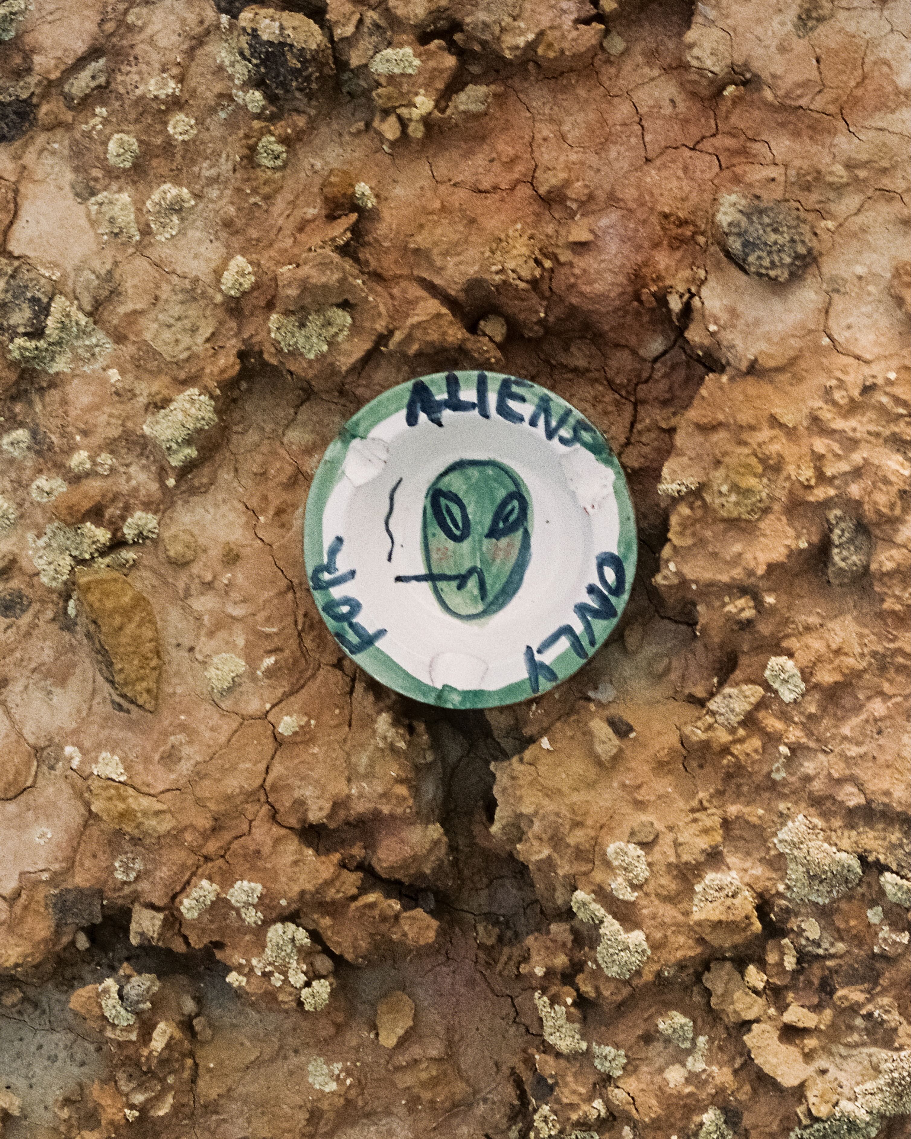 "For aliens only" ashtray